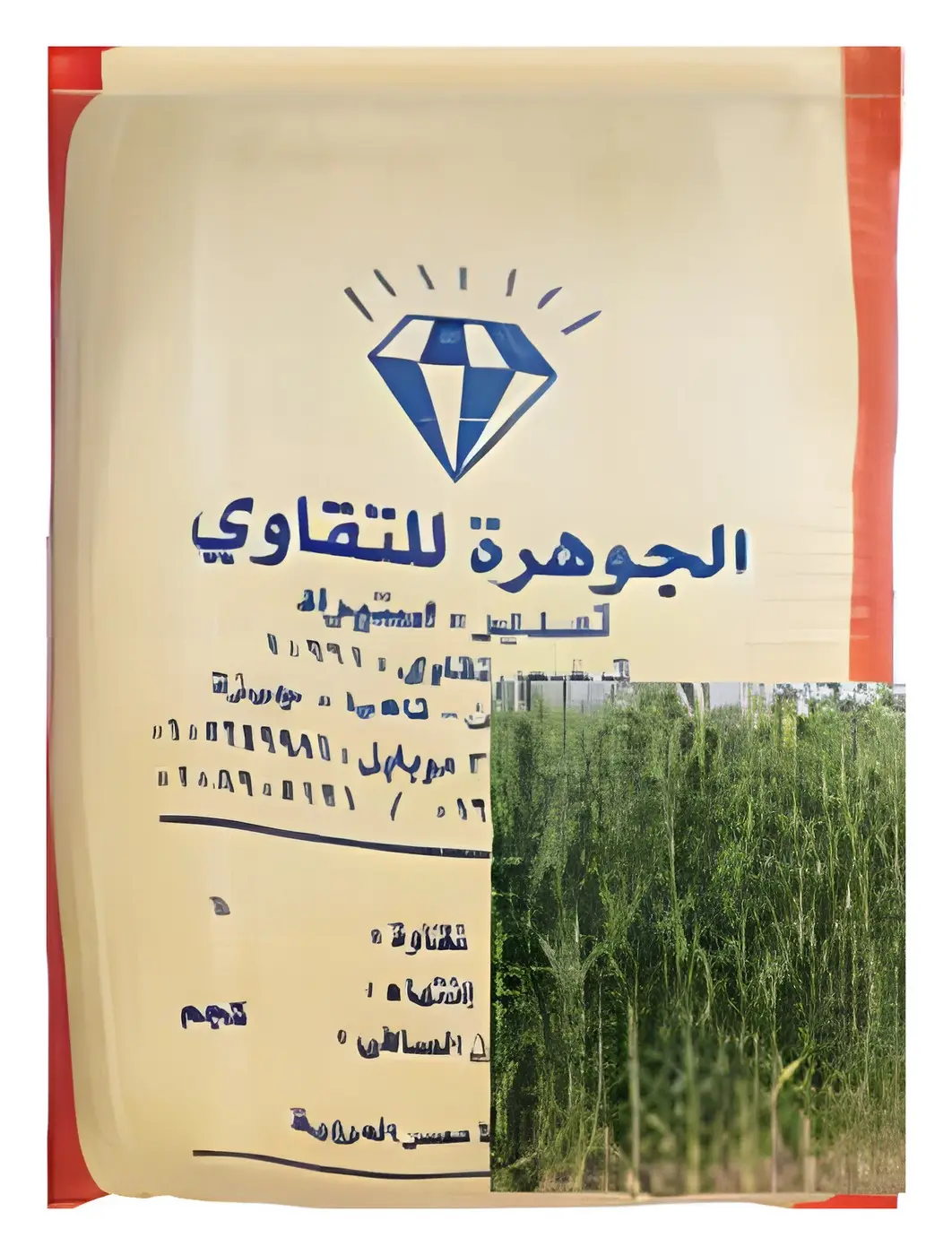 مسيبلة، صورة الكتالوج