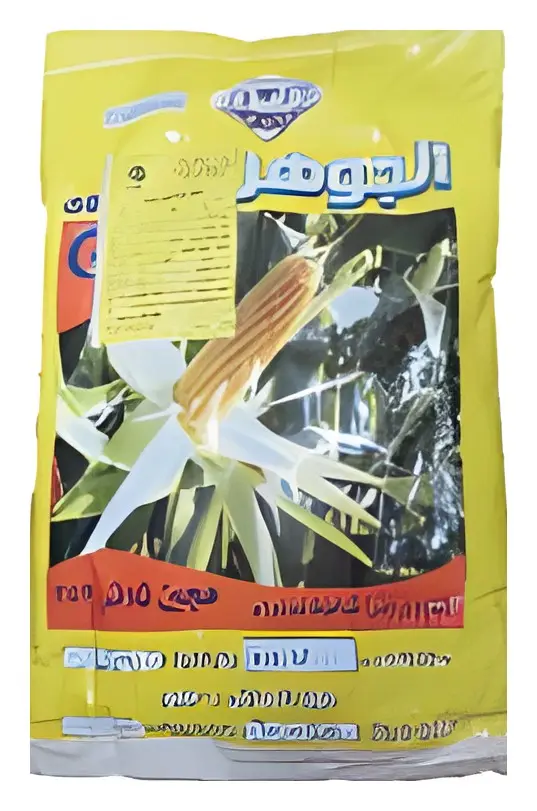 ذرة صفراء مصري، صورة الكتالوج