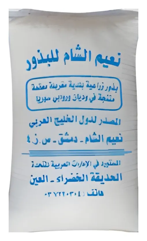 Coriander Syrian, catalogue photo