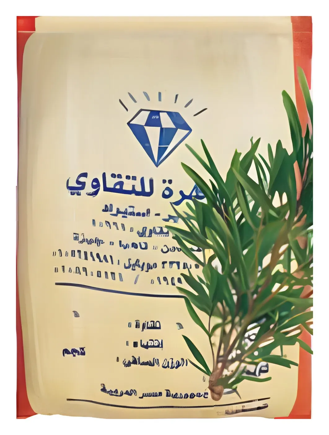 زعتر مصري، صورة الكتالوج