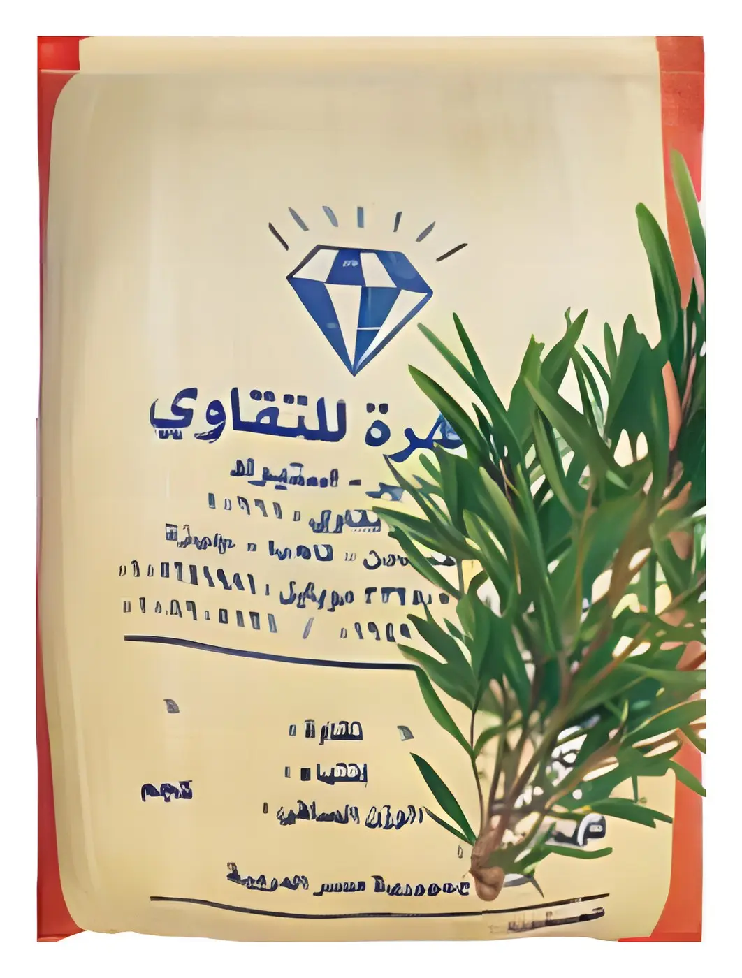زعتر مصري، صورة الكتالوج