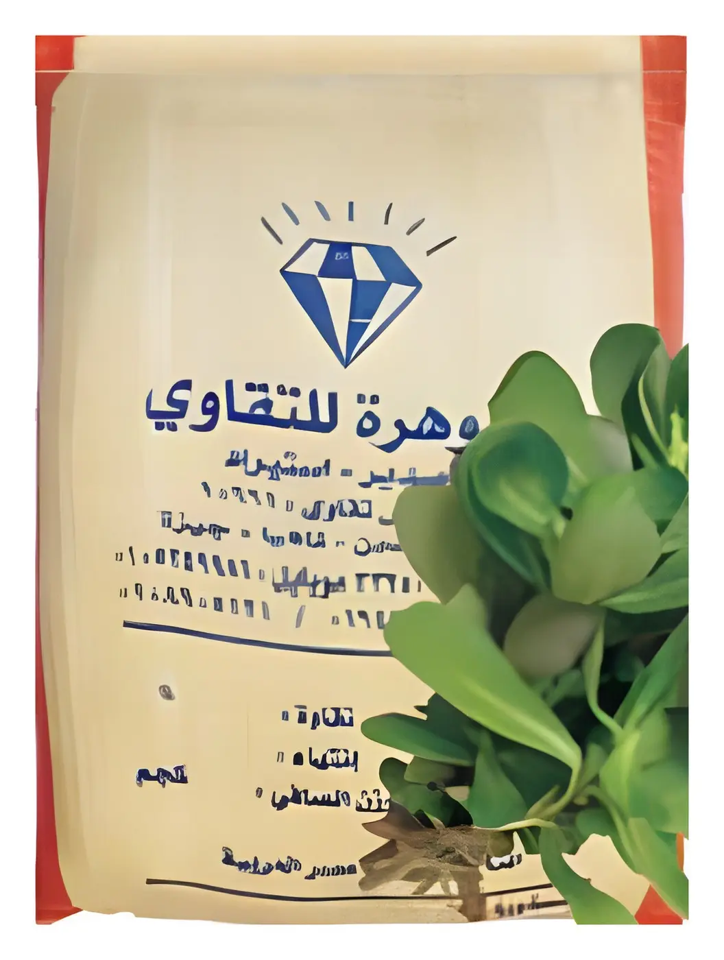 بربير مصري، صورة الكتالوج