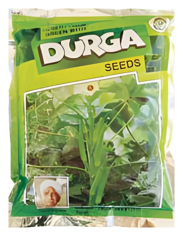 Okra Indian, catalogue photo