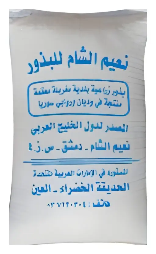 حلبة سوري، صورة الكتالوج