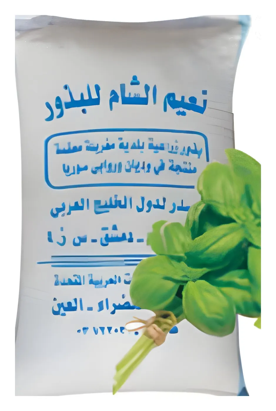 Basil Syrian, catalogue photo