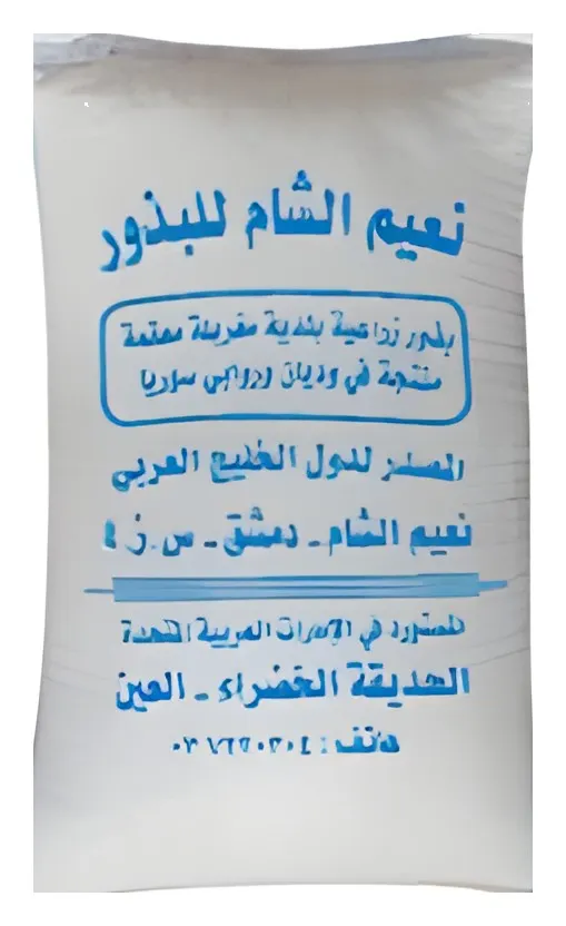 Dill Syrian, catalogue photo