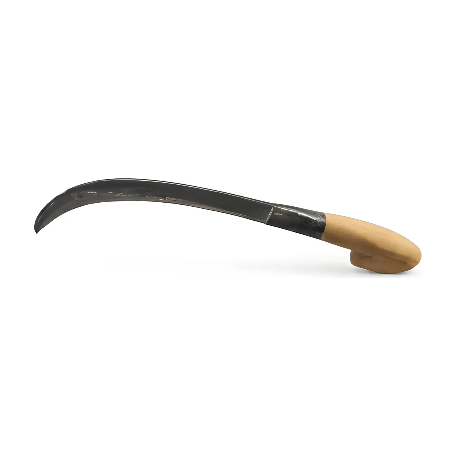 Sickles Palm, side